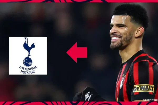 Bournemouth Fan Makes Bold Claims About Solanke's Moving to Spurs