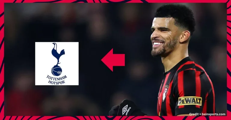 Bournemouth Fan Makes Bold Claims About Solanke’s Moving to Spurs